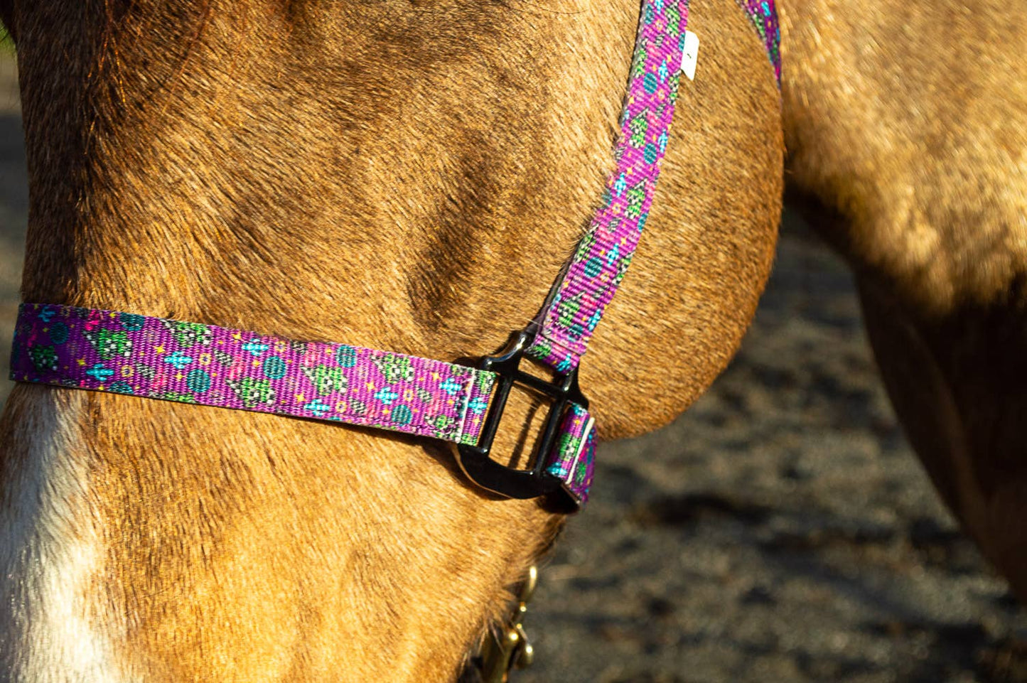 Nylon Halter - Horse Size