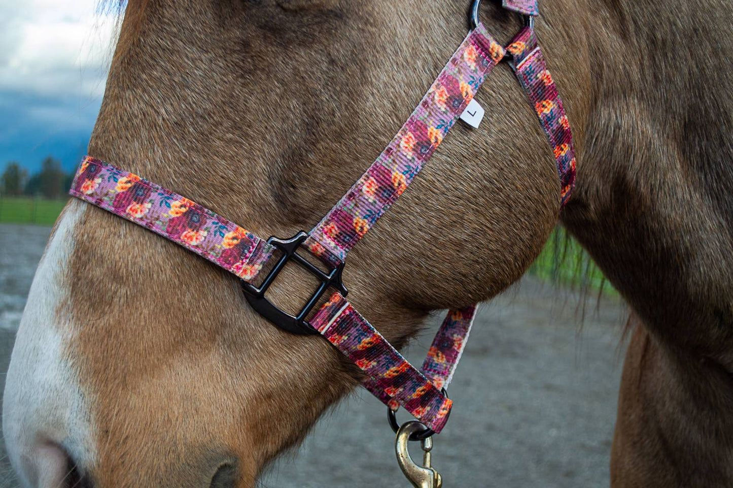 Nylon Halter - Horse Size