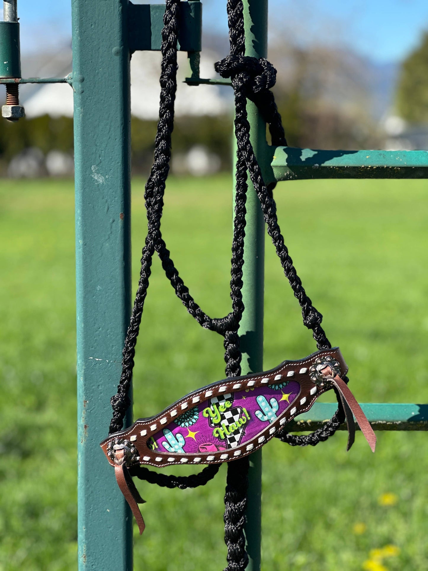 Braided Bronc Halter