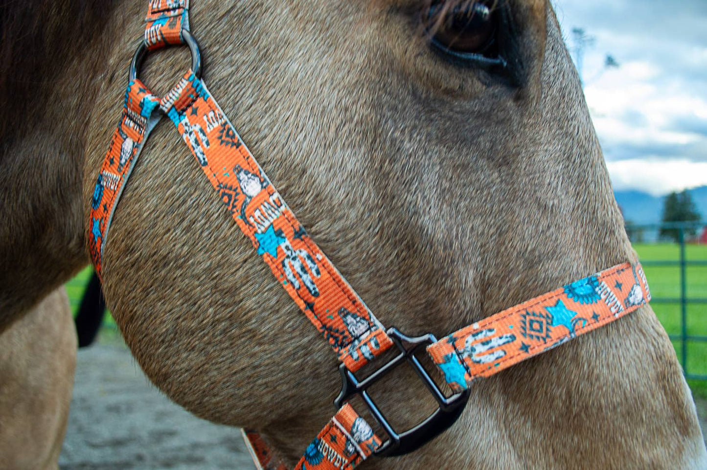 Nylon Halter - Horse Size