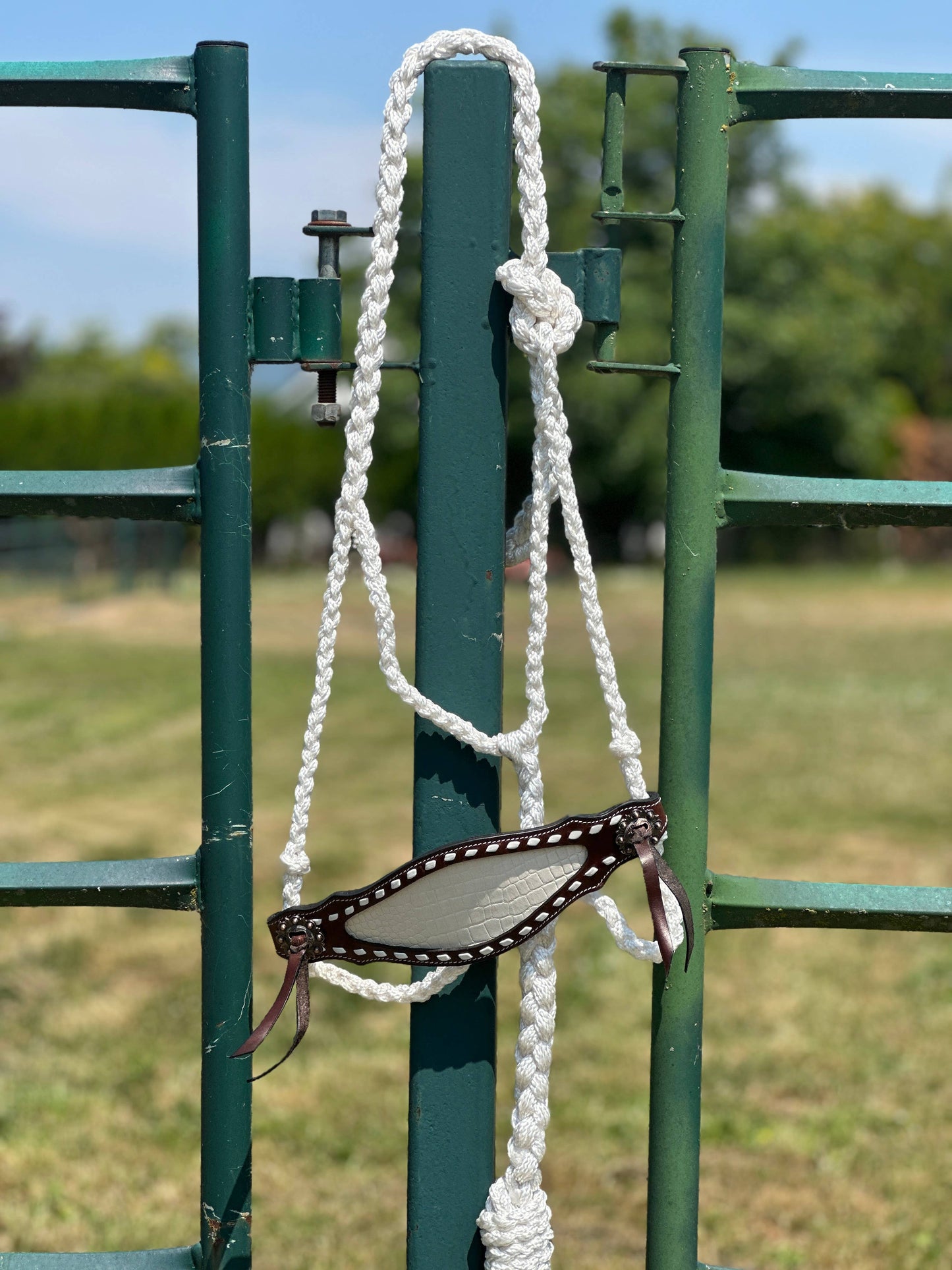 Braided Bronc Halter