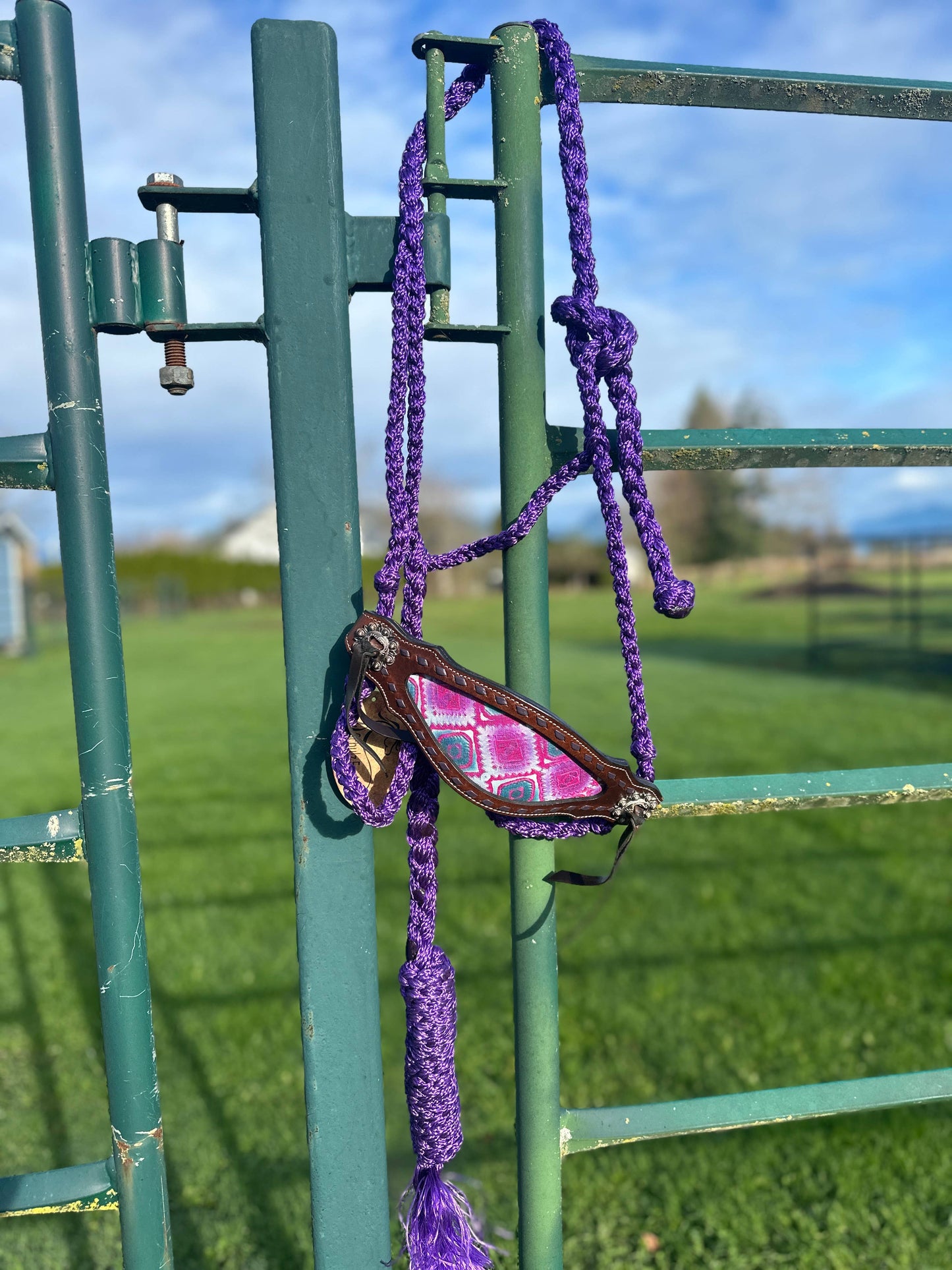 Braided Bronc Halter