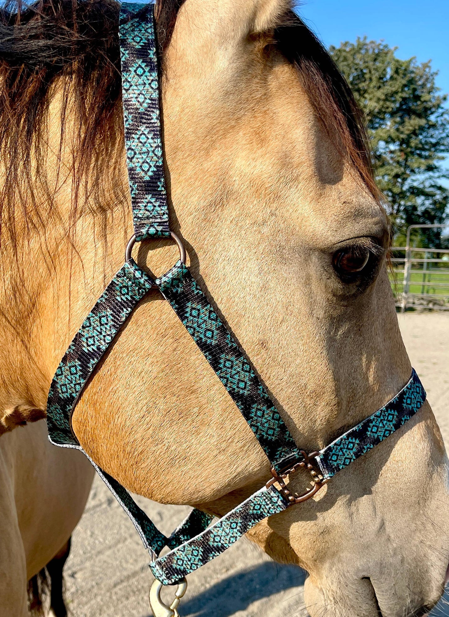 Nylon Halter - Horse Size