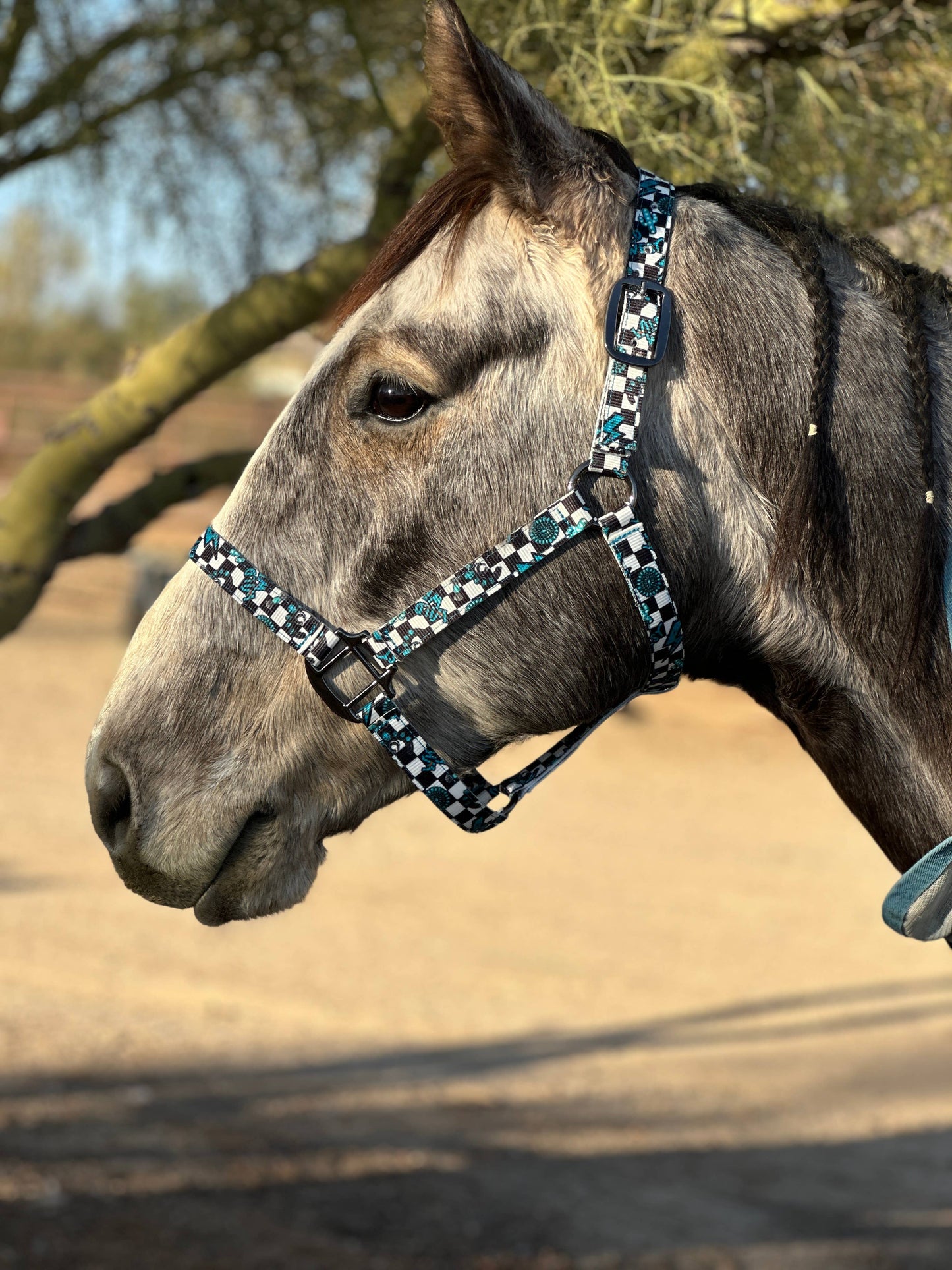 Nylon Halter - Horse Size