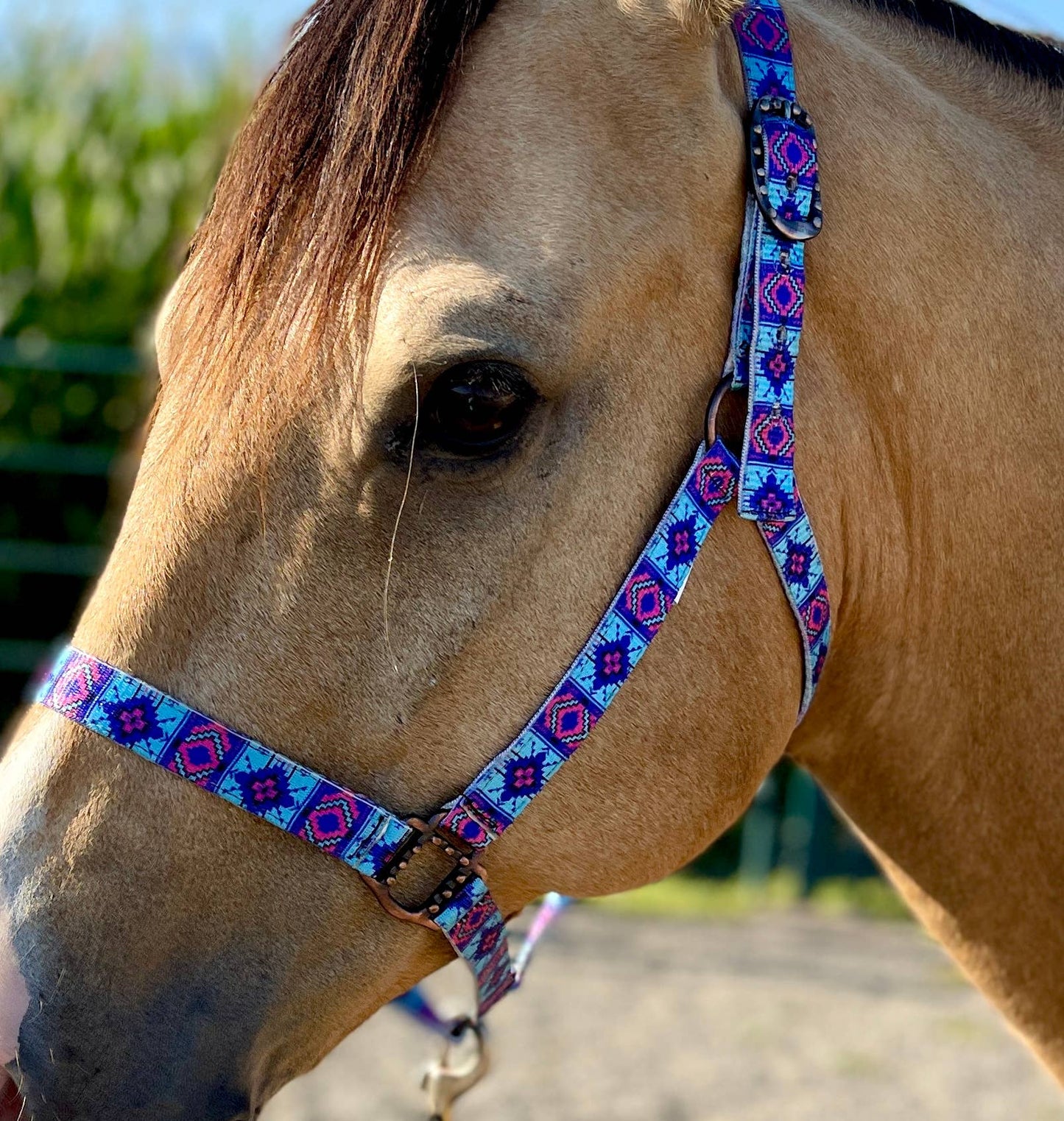 Nylon Halter - Horse Size