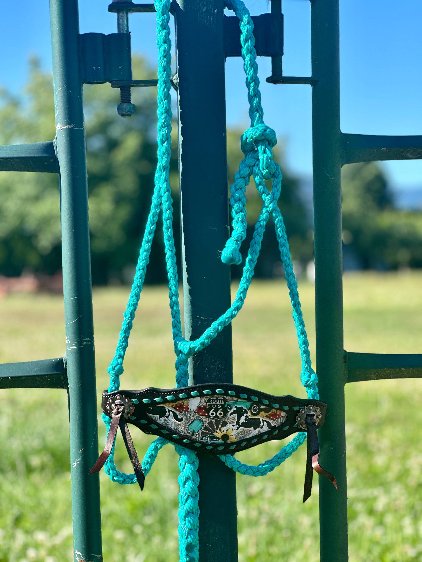 Braided Bronc Halter