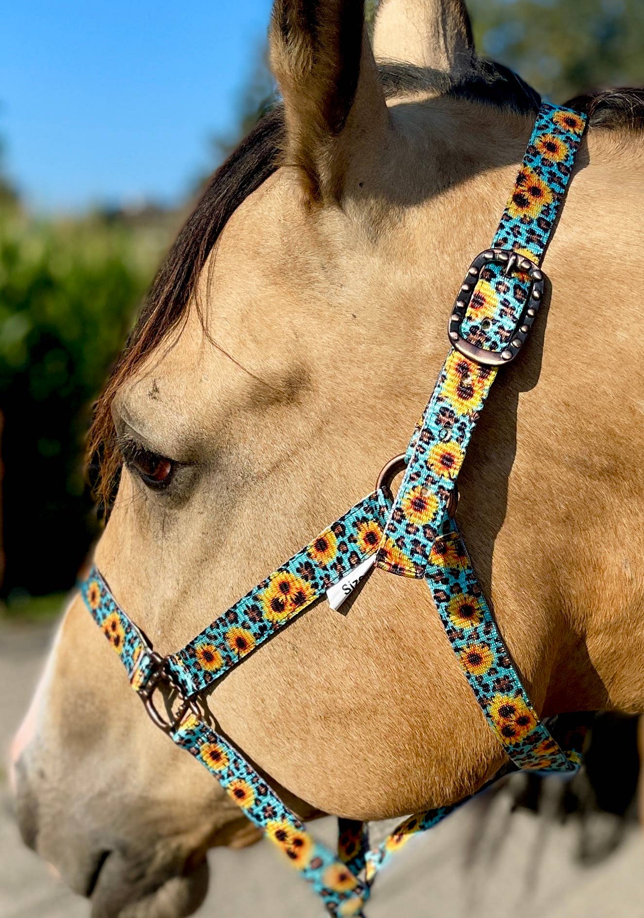 Nylon Halter - Horse Size