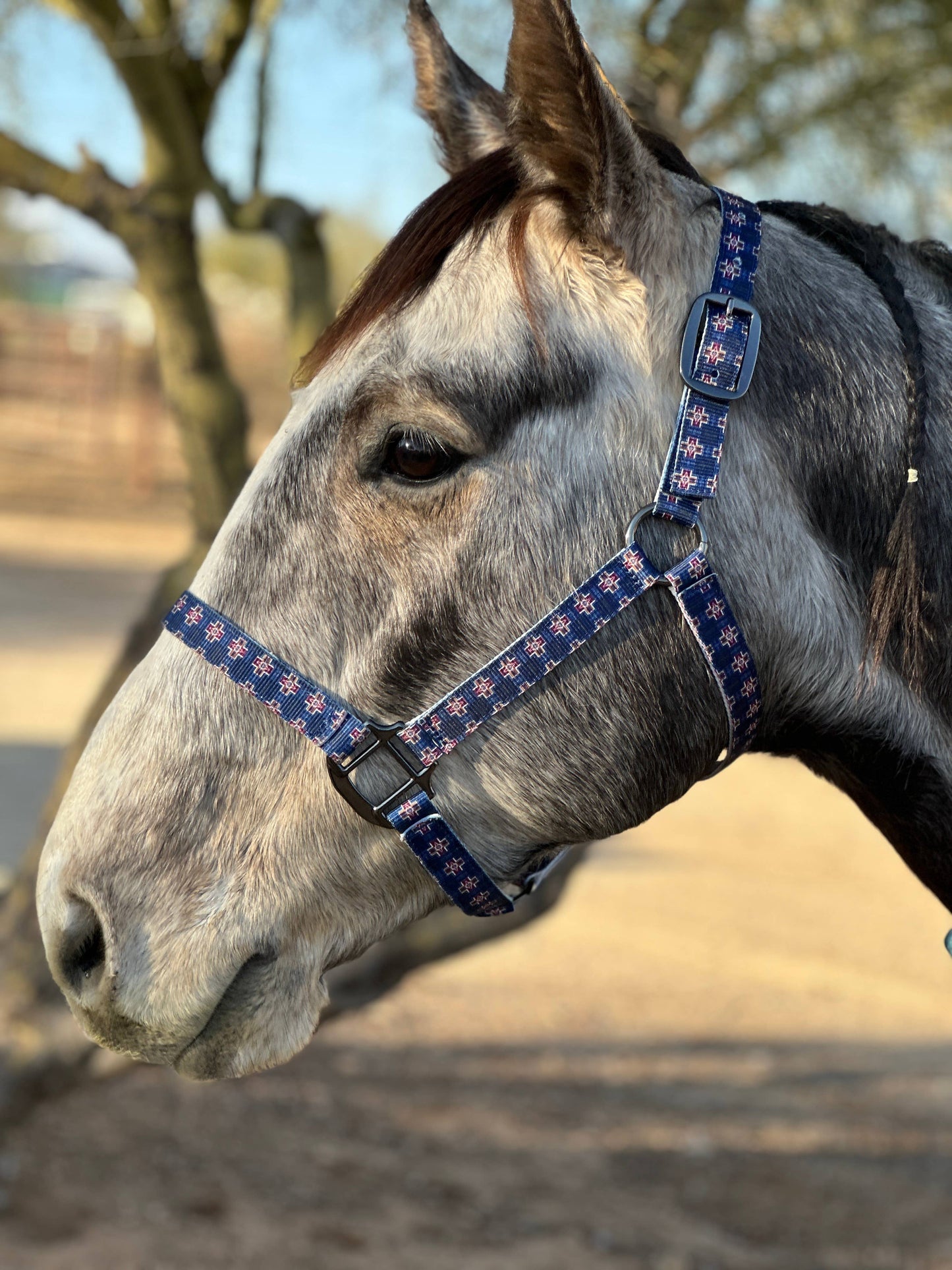 Nylon Halter - Horse Size