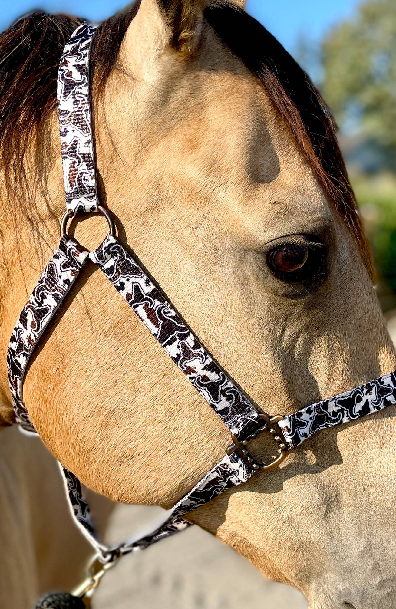 Nylon Halter - Horse Size